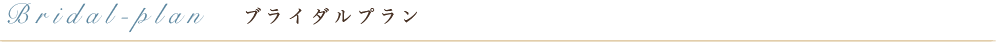 ブライダルプラン